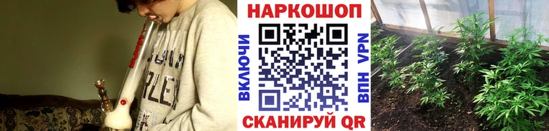 Купить наркоту Новая Ладога Псилоцибиновые грибы  Alpha PVP  Мефедрон  COCAIN 