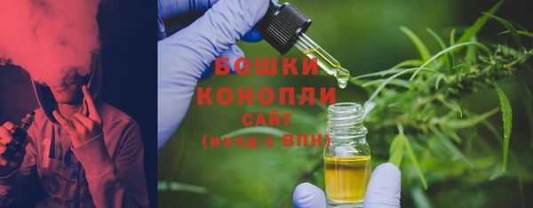 ешки Алексин