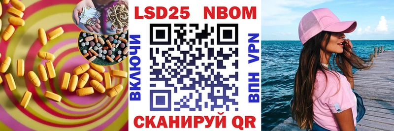 наркота  Новая Ладога  ЛСД экстази кислота 